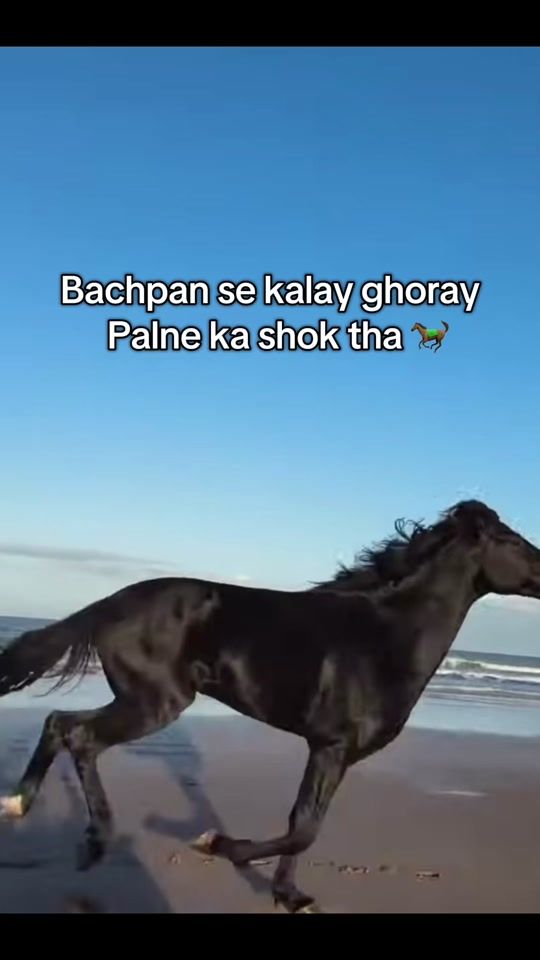 TikTok video thumbnail by reeeeeeeeehan