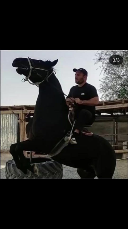 TikTok video thumbnail by .94935