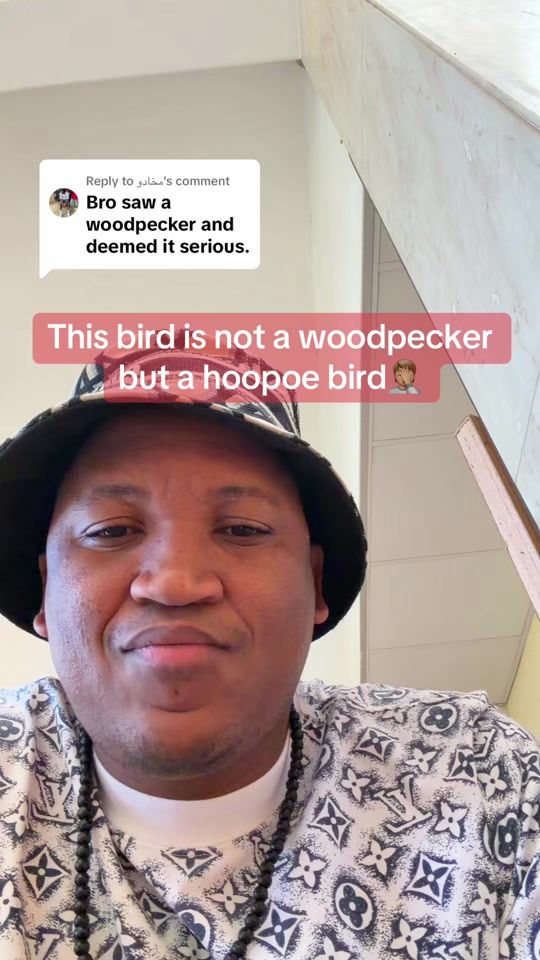 TikTok video thumbnail by pika_the_monk