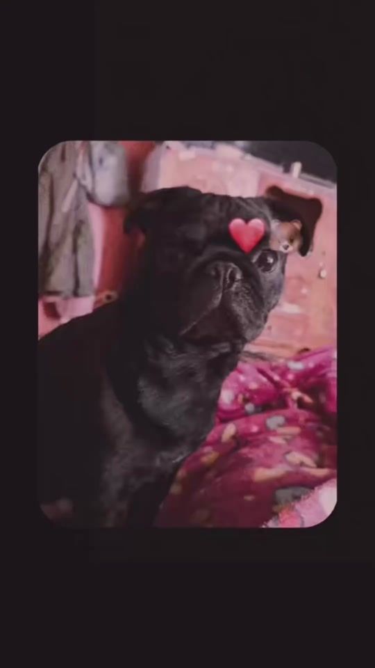 TikTok video thumbnail by marilinp18