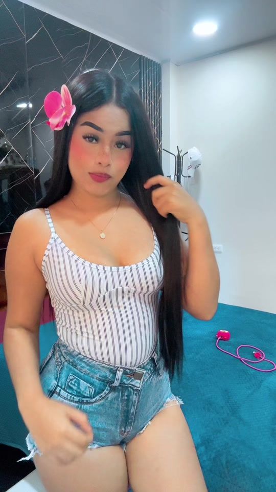 TikTok video thumbnail by user_lilibethzm
