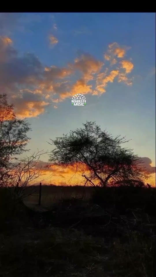 TikTok video thumbnail by nordestemusic
