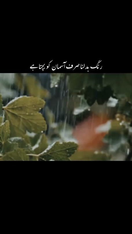 TikTok video thumbnail by yours..madii