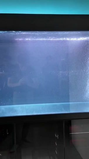 TikTok video thumbnail by zyfishtanks