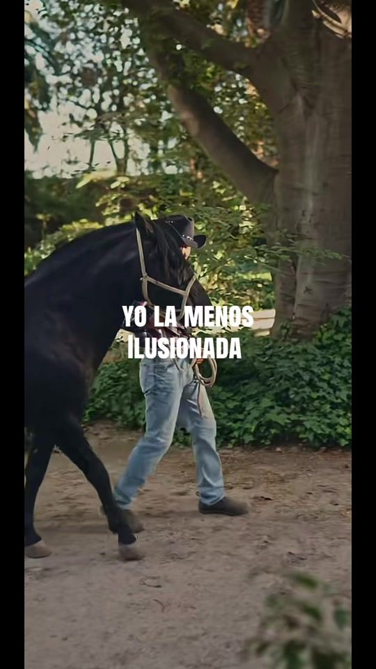 TikTok video thumbnail by alanysxsiempre