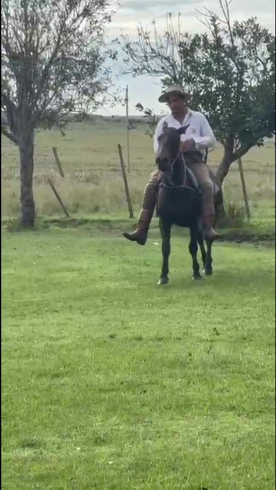 TikTok video thumbnail by esteba_n15