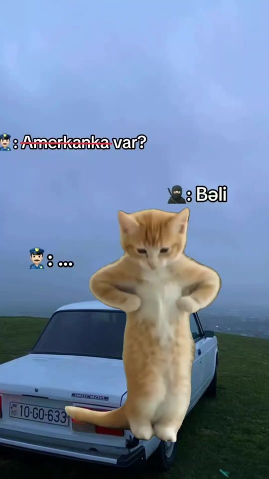 TikTok video thumbnail by imanovhl