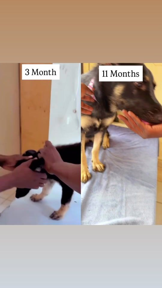 TikTok video thumbnail by mamafathma2