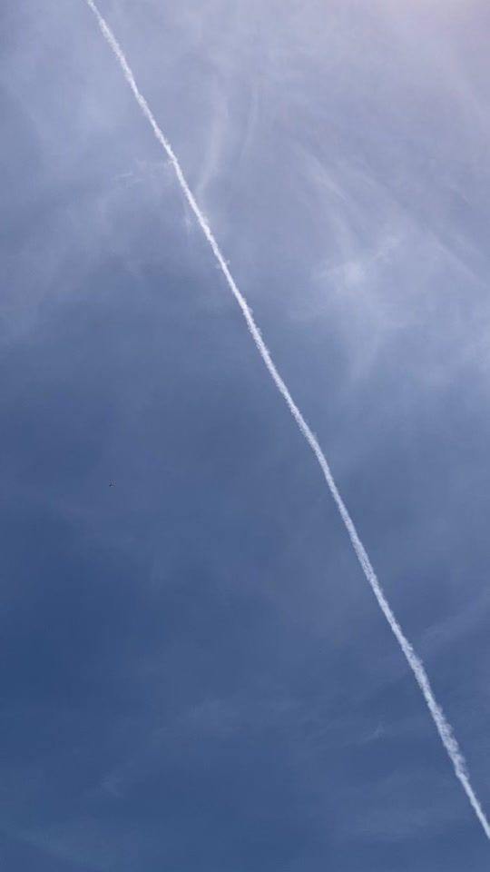 TikTok video thumbnail by yuenyon2