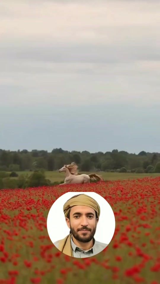 TikTok video thumbnail by nourmomen32