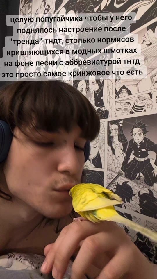 TikTok video thumbnail by gimolayscai.gorchichca