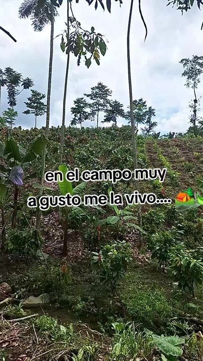 TikTok video thumbnail by sjonbond_vloglar