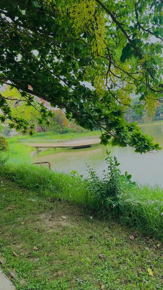 TikTok video thumbnail by nutural38