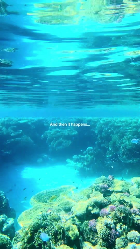 TikTok video thumbnail by i_83ana