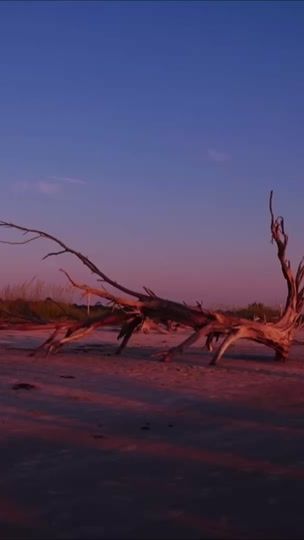 TikTok video thumbnail by uip7ik