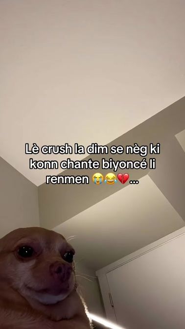 TikTok video thumbnail by einstein_44
