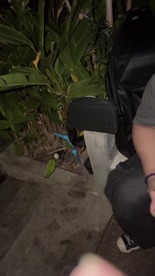 TikTok video thumbnail by demonto4