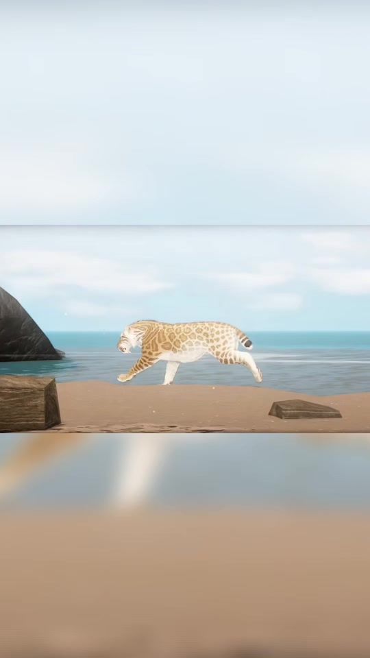 TikTok video thumbnail by primal.ecos