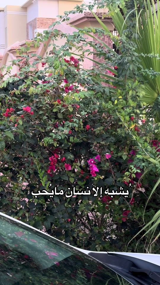 TikTok video thumbnail by juhaina____