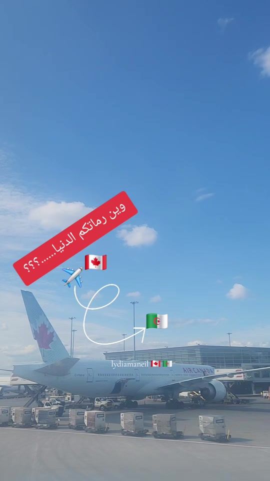 TikTok video thumbnail by lydia_maneil