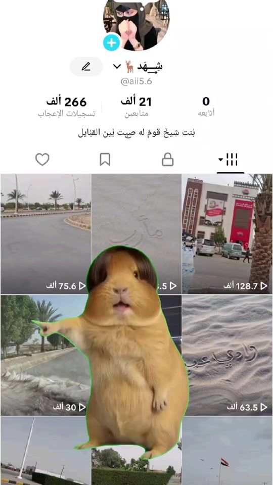 TikTok video thumbnail by aii5.6