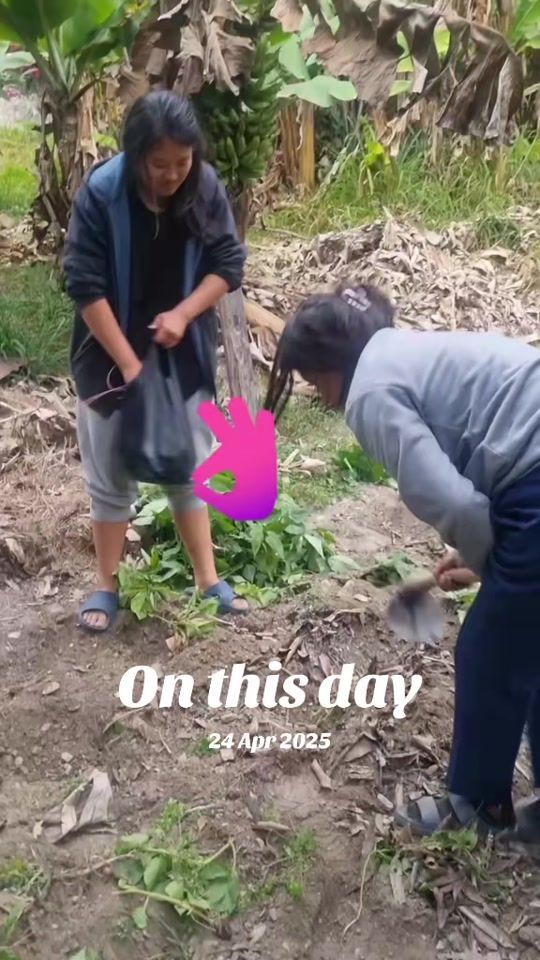 TikTok video thumbnail by khaujaykhaujay