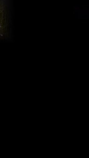 TikTok video thumbnail by ripac11