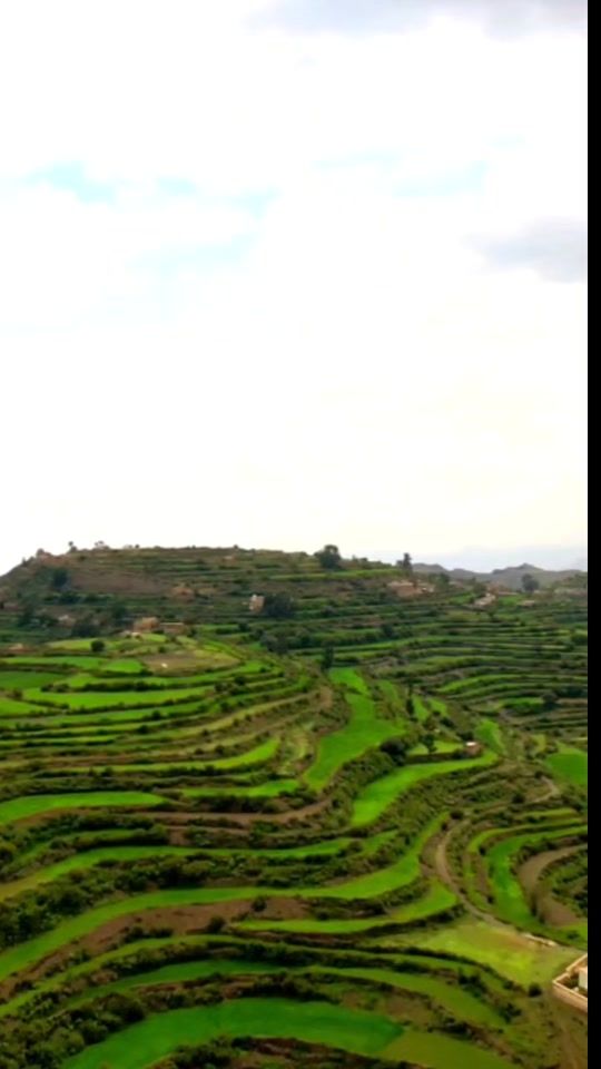 TikTok video thumbnail by bennaif.11.5