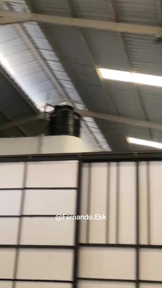 TikTok video thumbnail by fernando.ekk