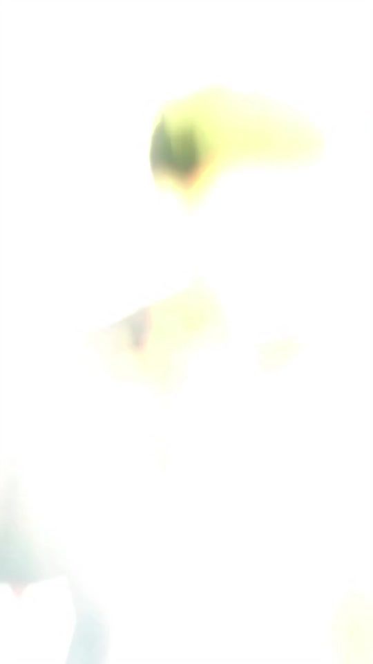 TikTok video thumbnail by __jaffna_._boy__