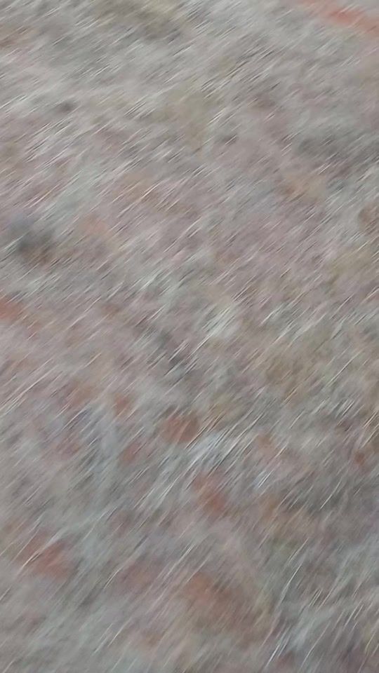 TikTok video thumbnail by zizan985