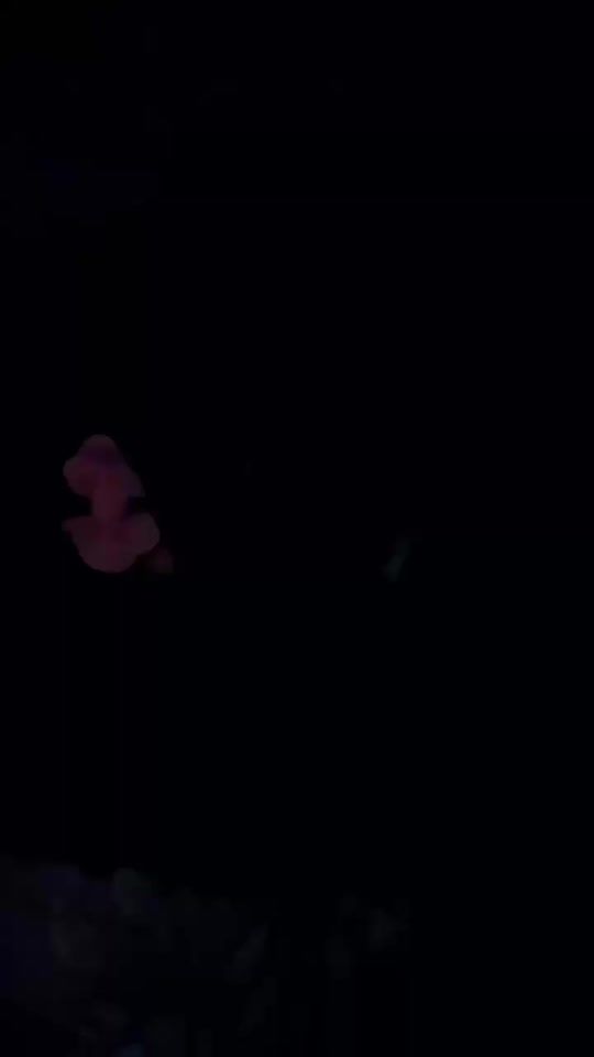 TikTok video thumbnail by ice.flower77