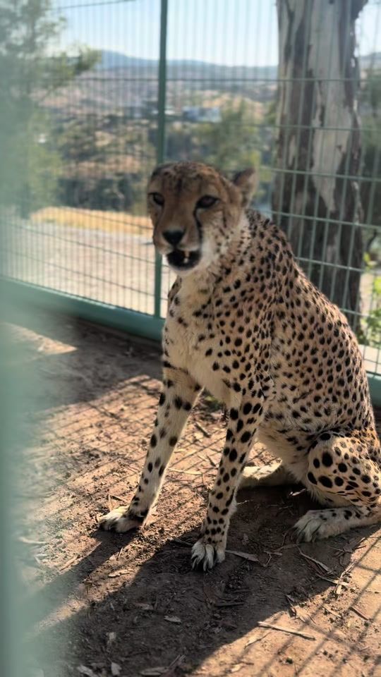TikTok video thumbnail by andy.zoo