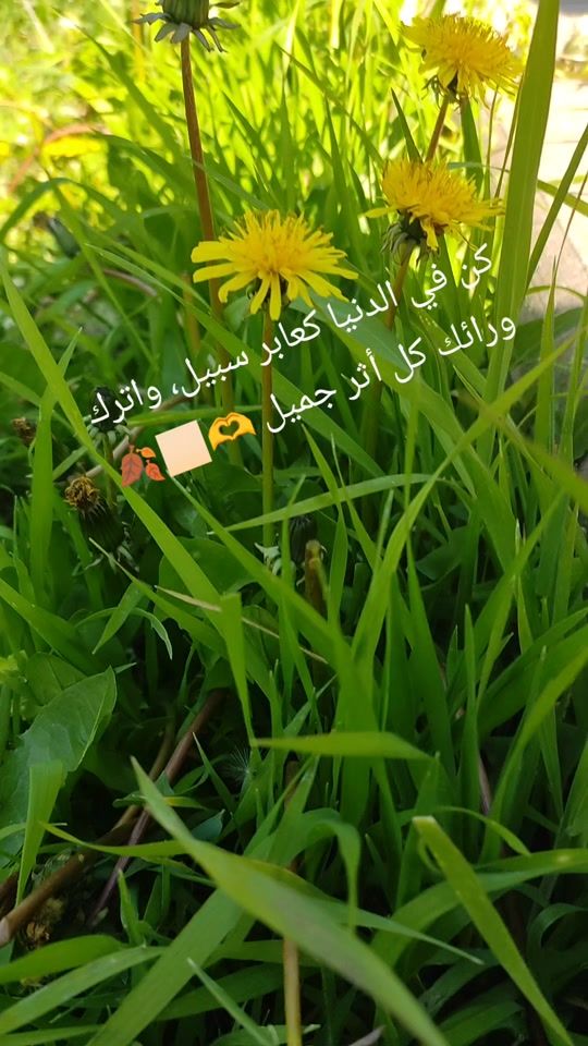 TikTok video thumbnail by a54agfc