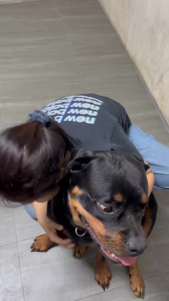 TikTok video thumbnail by pekko_rottweiler