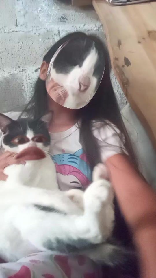 TikTok video thumbnail by jota_periche
