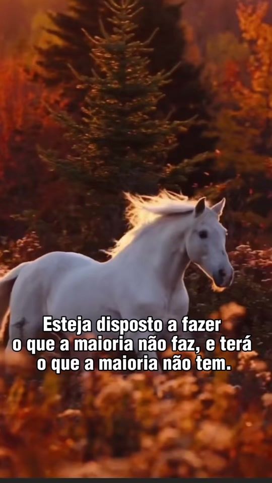 TikTok video thumbnail by cavalos_dorancho