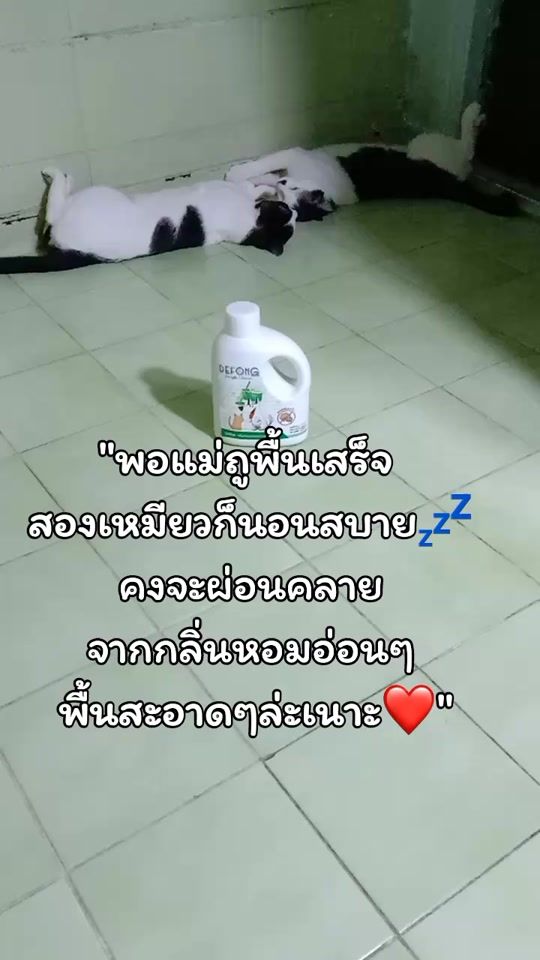 TikTok video thumbnail by mumkittyhappy855