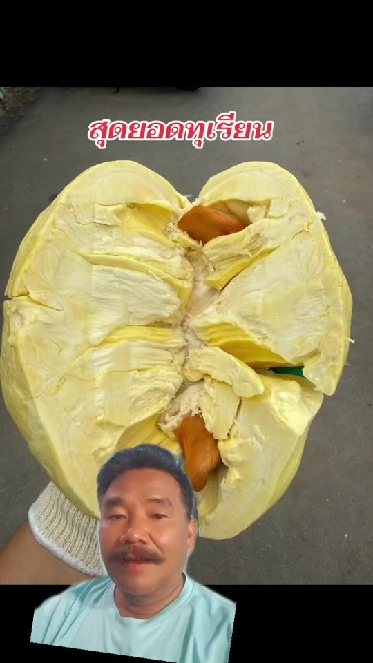 TikTok video thumbnail by praditjing