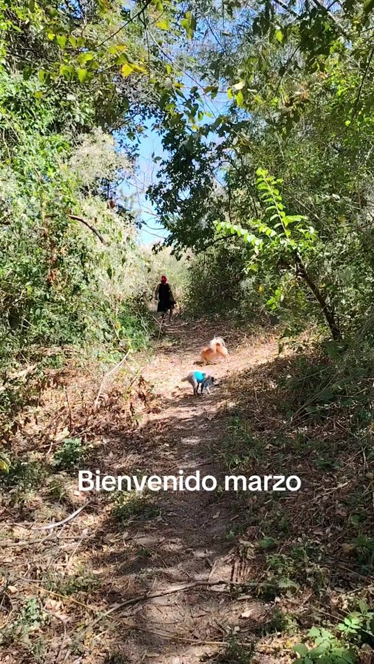 TikTok video thumbnail by aprendiendoconmapache