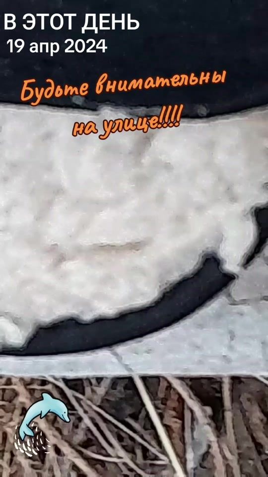 TikTok video thumbnail by dimabmpx9lk