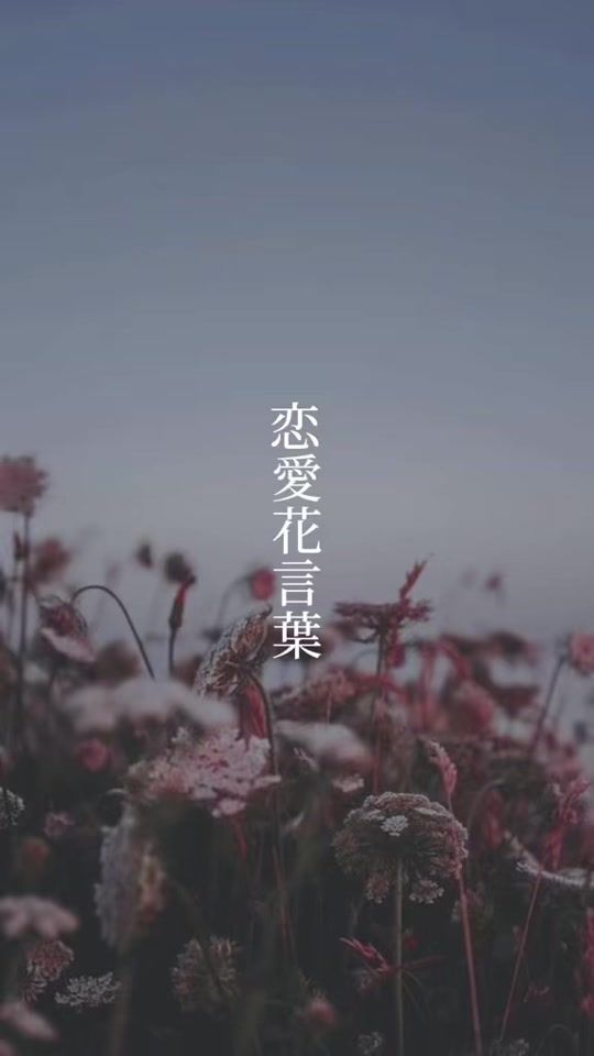 TikTok video thumbnail by seeyouagain_6