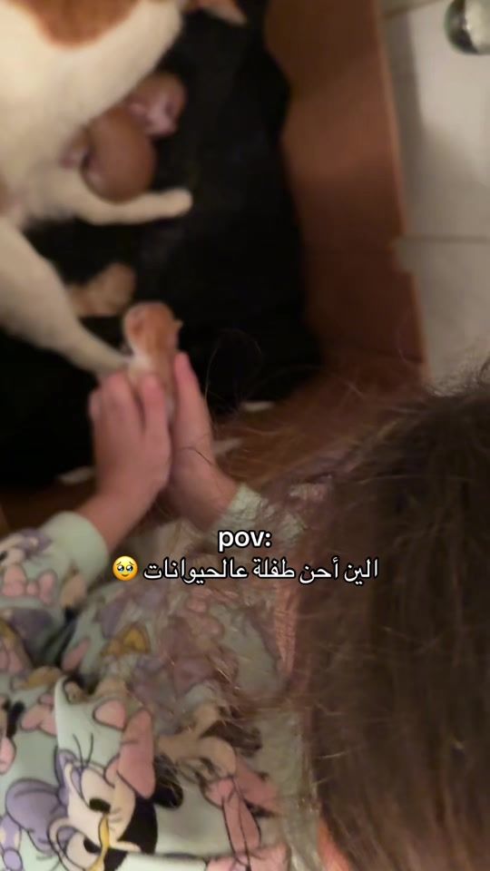 TikTok video thumbnail by aline_talineofficial