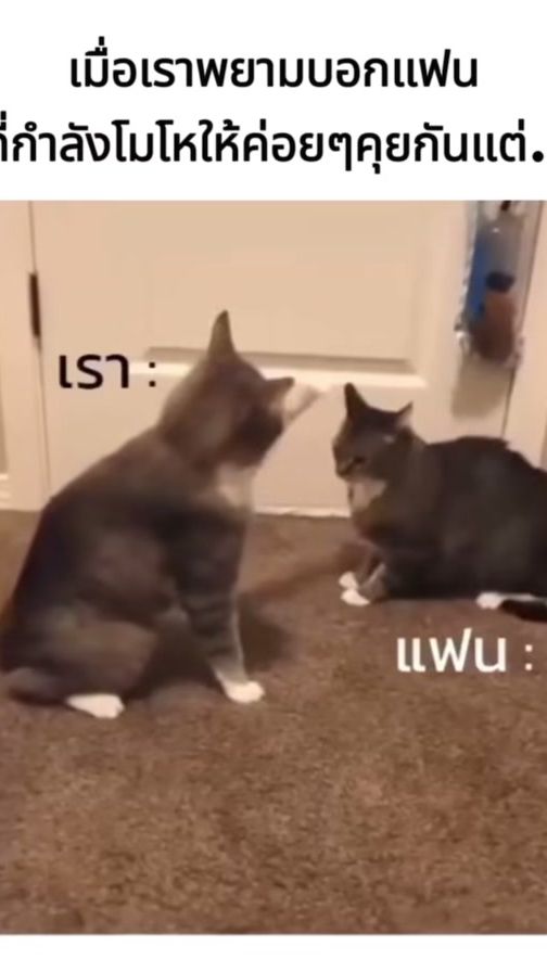 TikTok video thumbnail by pkd812