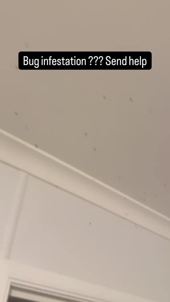 TikTok video thumbnail by lukegrimmond
