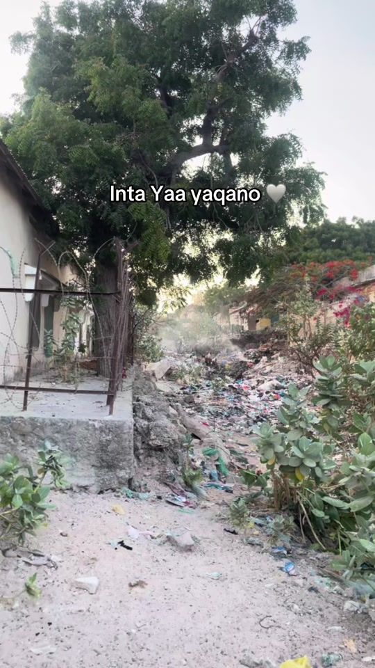 TikTok video thumbnail by 0.3.9.3.1