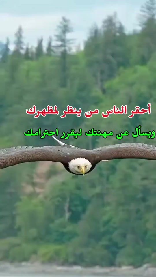 TikTok video thumbnail by user32632982777790