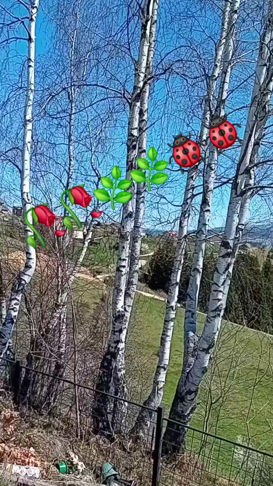 TikTok video thumbnail by milocerr