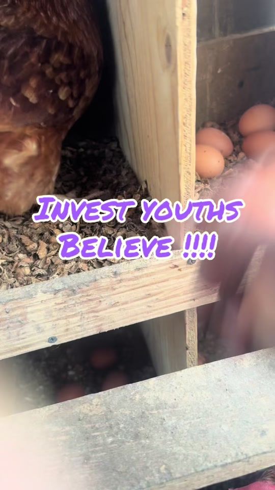 TikTok video thumbnail by kk.farm.fresh.ltd