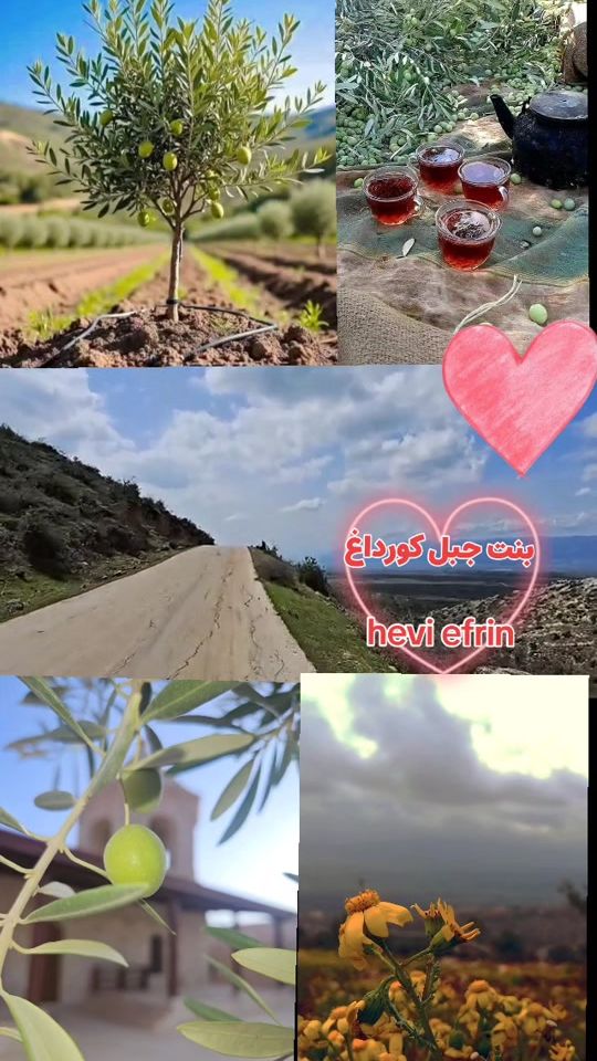 TikTok video thumbnail by hevi_efrin